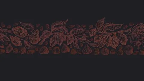 Chocolate truffles with cocoa branch Vector stripe Stock Illustration