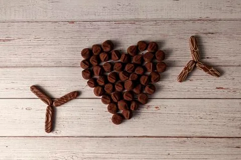 Chocolate truffles designed in heart shape with Chocolate covered cookies Stock Photos