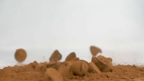Chocolate truffles falling in cocoa on white Stock Footage 82155992