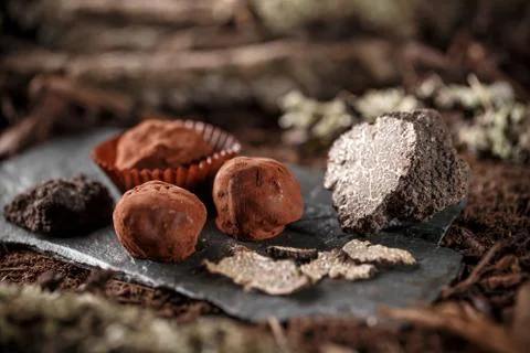Chocolate truffles Stock Photos