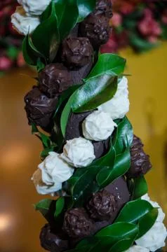 Chocolate truffles Stock Photos