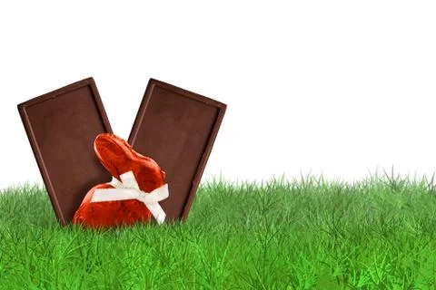 Chocolates on grass on white background Stock Photos