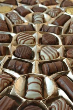 Chocolates Stock Photos