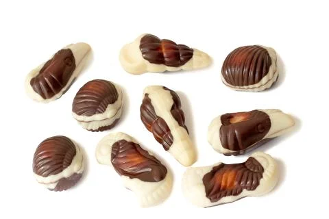 Chocolates of a various form on a white background. Stock Photos