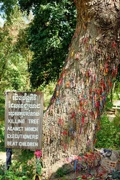 Choeung Ek Killing Fields in Phnom Penh Cambodia. Killing tree against whic.. Foto stock