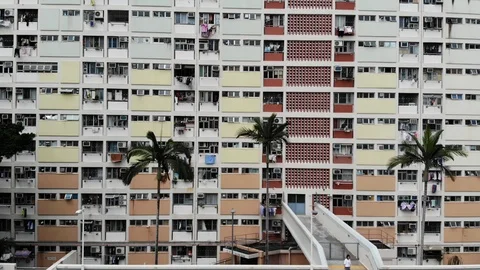 Choi hung Stock Footage 91137528