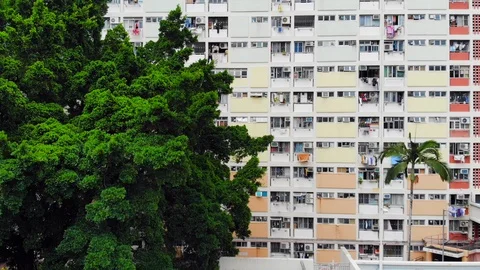 Choi hung Stock Footage 91137566