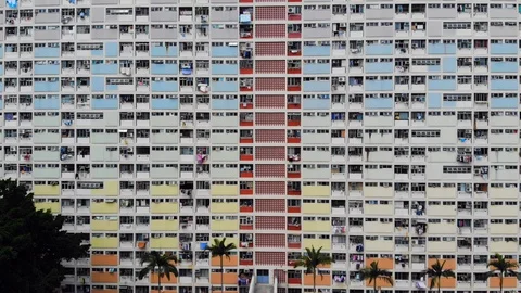 Choi hung Video stock 91137674