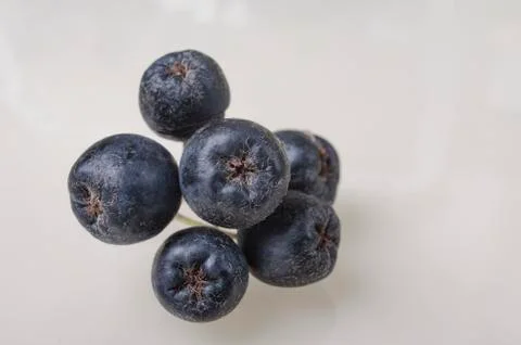 Chokeberry (Aronia ) on the Table Stock Photos