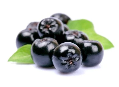 Chokeberry close up. Stock Photos