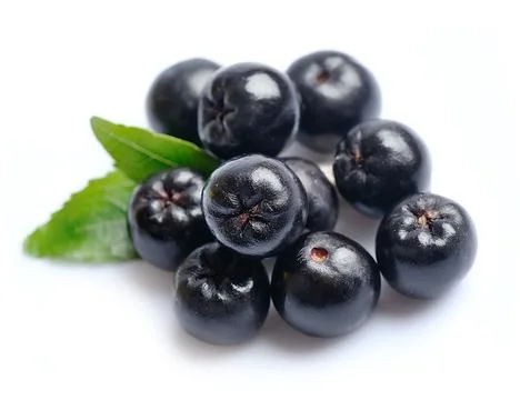Chokeberry close up. Stock Photos