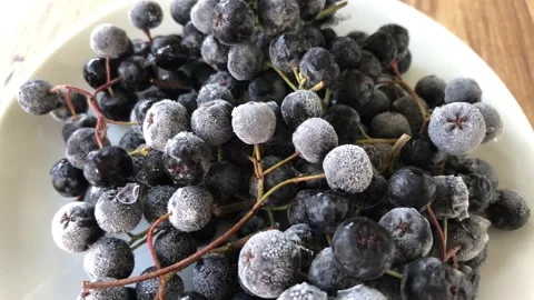 Chokeberry close up view. Stock Footage 284723075