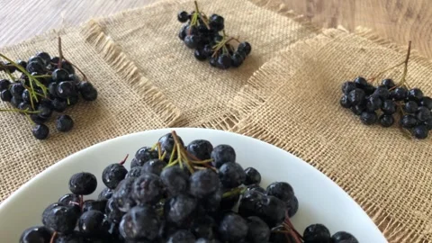 Chokeberry close up view. Stock Footage 284723076