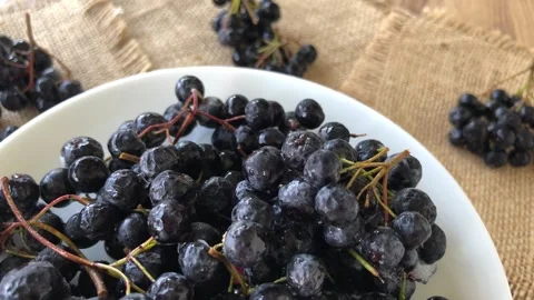 Chokeberry close up view. Stock Footage 284723126