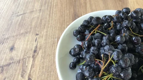 Chokeberry close up view. Stock Footage 284723744