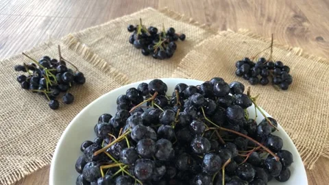 Chokeberry close up view. Stock Footage 284723764