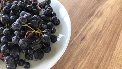 Chokeberry close up view. Stock Footage 284723830