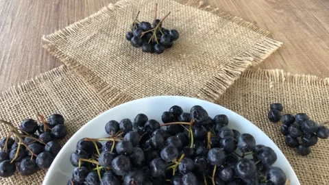 Chokeberry close up view. Stock Footage 284724255