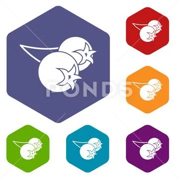 Chokeberry or aronia berry icons set hexagon Stock Illustration