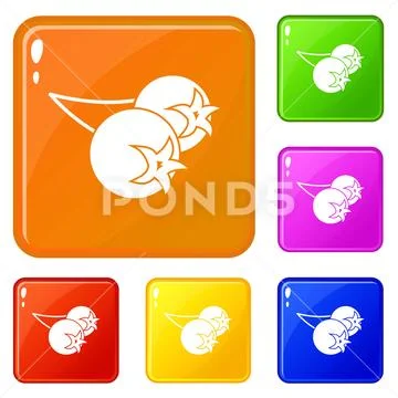 Chokeberry or aronia berry icons set color Stock Illustration