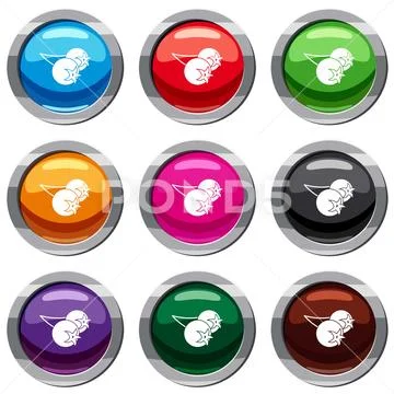 Chokeberry or aronia berry set 9 collection Stock Illustration