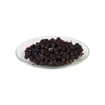 Chokeberry 스톡 사진