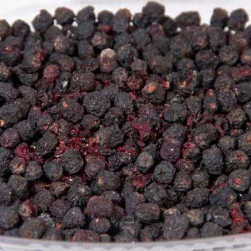 Chokeberry 스톡 사진