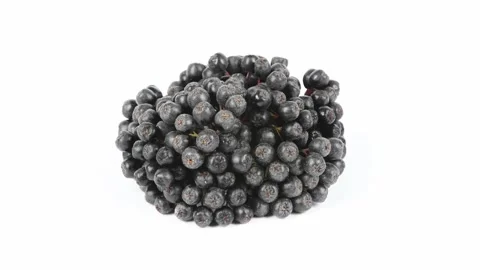 Chokeberry on white. Side view. Loop motion. Rotation 360. Stock Footage 165167714