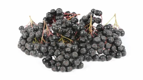 Chokeberry on white. Side view. Loop motion. Rotation 360. Stock Footage 165168305