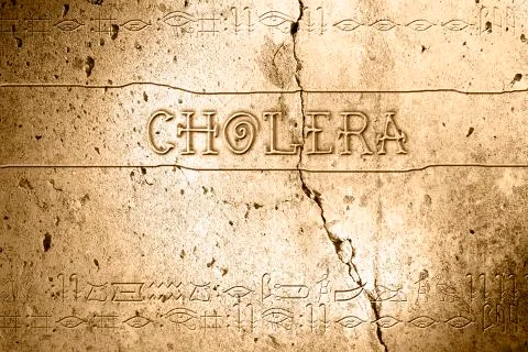 Cholera Illustrazione stock