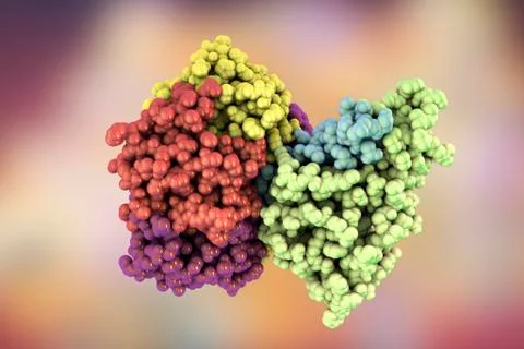 Cholera toxin molecule, illustration Stock Illustration