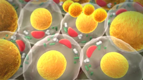 Cholesterol, cell structure Video stock 43344036