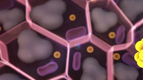 Cholesterol in a cells Stock Footage 74393626