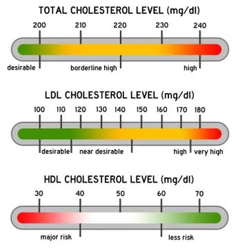 Cholesterol Stock Illustration