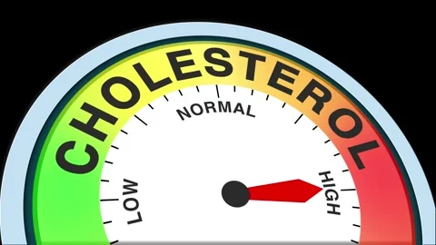 Cholesterol Level Text or Word  Low and Medium to High Meter Concept Stock Footage 288569697