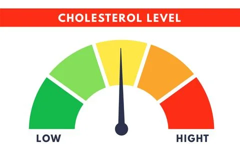 Cholesterol Meter. Level scale of hyperlipidemia. Check of blood. Vector isol Stock Illustration