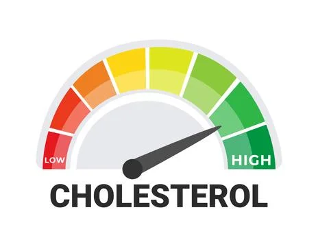Cholesterol Meter Vector Illustration, Indicating Levels from Low to High Illustrazione stock