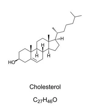 Cholesterol, a modified steroid, chemical structure and formula Stock Illustration