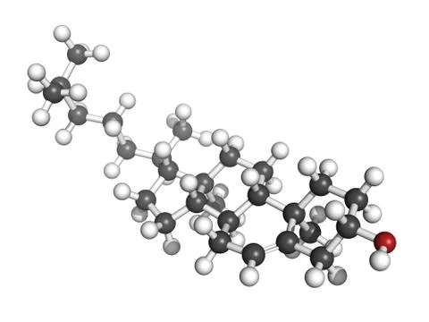 Cholesterol, molecular model Stock Illustration