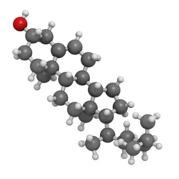Cholesterol, molecular model Stock Illustration