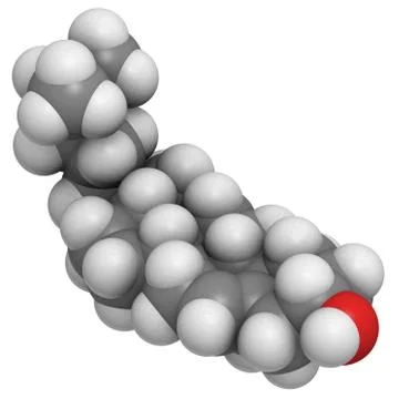 Cholesterol, molecular model Stock Illustration