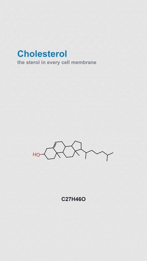 Cholesterol Molecular Structure Labeled Chemistry Alpha 4K Vertical 9x16 Light Stock Footage 340007466