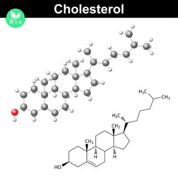 Cholesterol molecule and 3d model Stock-Illustration