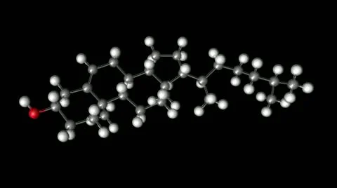 A cholesterol molecule 動画素材 12377534