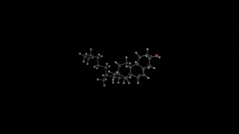 Cholesterol Molecule Rotating on Black Background Vídeos de archivo 344702004