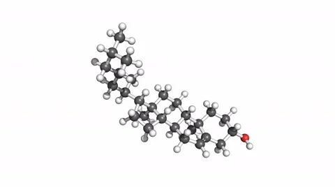 Cholesterol molecule, rotating model 스톡 동영상 47109395