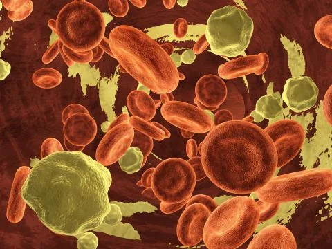 Cholesterol in a vein Stock Illustration