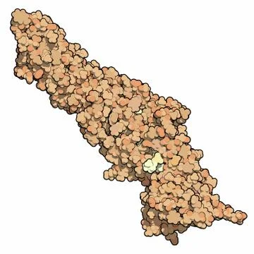 Cholesteryl ester transfer protein (cetp). potential drug target in atheroscl Stock Illustration