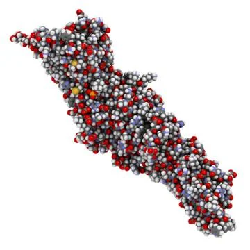 Cholesteryl ester transfer protein (cetp). potential drug target in atheroscl Stock Illustration