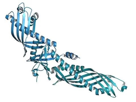 Cholesteryl ester transfer protein (cetp). potential drug target in atheroscl Stock Illustration